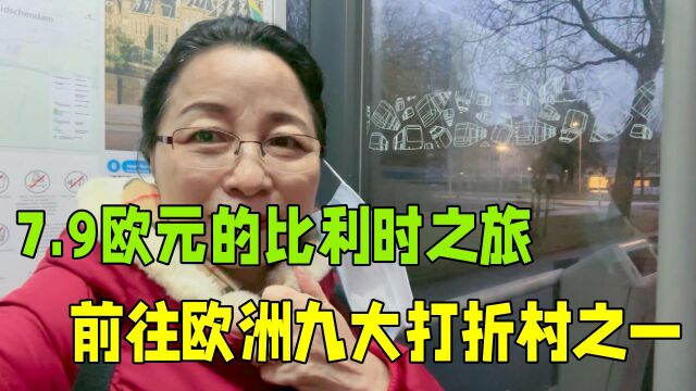 荷兰华人组织比利时之旅,一人7.9欧元,和朋友们说走就走!