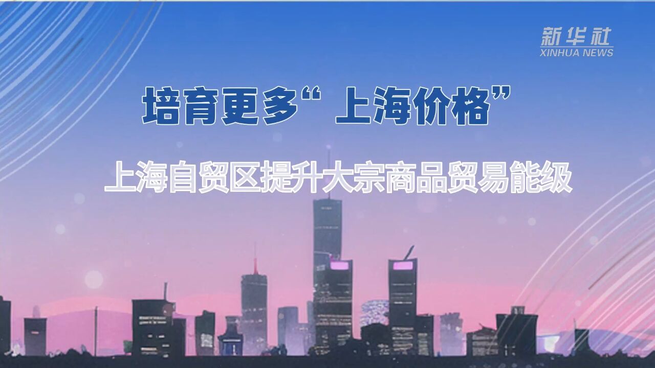 培育更多“上海价格” 上海自贸区提升大宗商品贸易能级