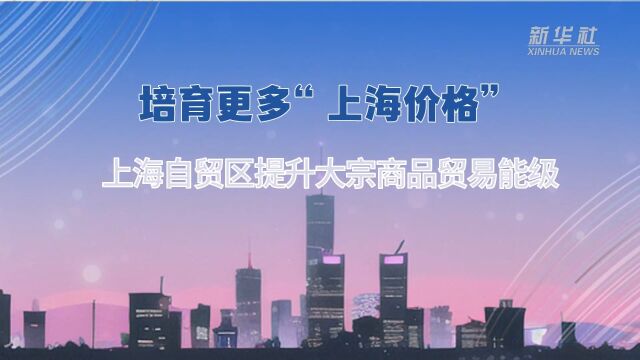 培育更多“上海价格” 上海自贸区提升大宗商品贸易能级