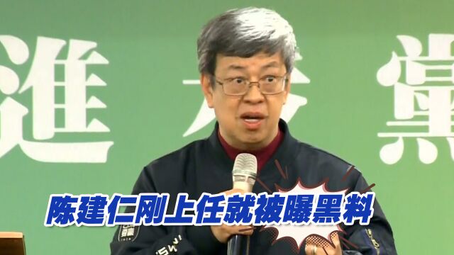 六度“借调”、“论文抄袭” 陈建仁刚上任就被曝黑料