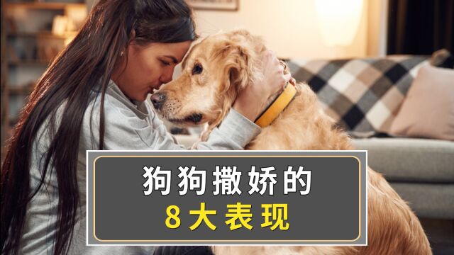 狗狗向你撒娇的表现,你知道多少?