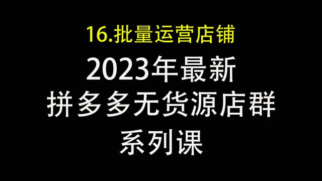 16.拼多多无货源店群团队工作怎么运营