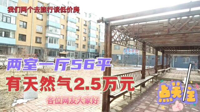 56平有天然气2.5万元,南北通透户型,附近有大型购物商场 公园