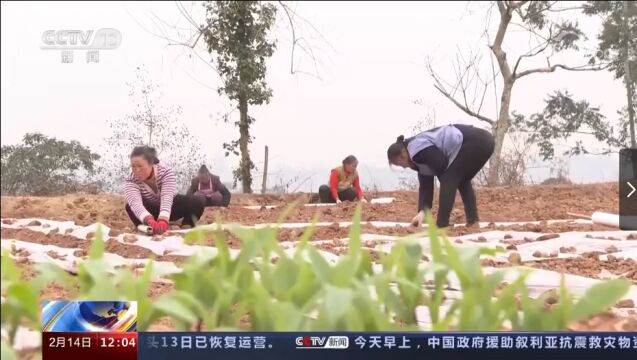 阆中飞凤镇!上央视啦…