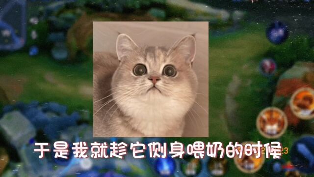 王者荣耀搞笑日常,经典语录