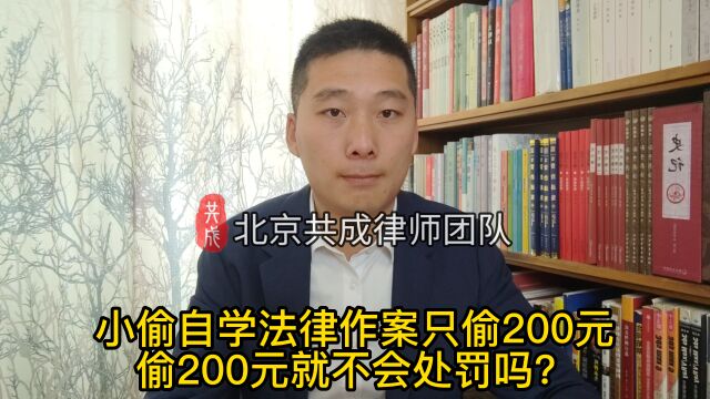 小偷自学法律作案只偷200元,偷200元就不会处罚吗?