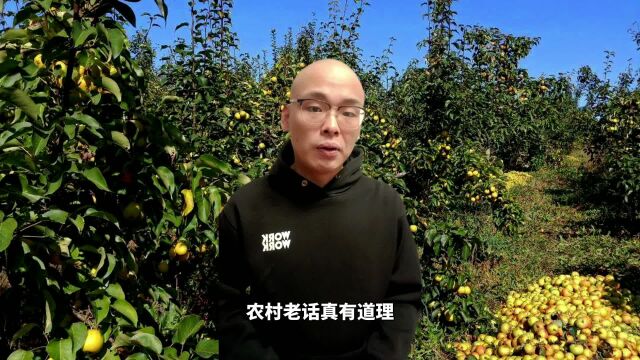 为什么农村老话常说:人怕腊月死,更怕腊月生,太有道理了