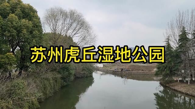 虎丘湿地公园,大美苏州,美女如云、野鸭游弋、绿皮小火车、风筝 #公园 #城市公园 #人居环境 #宜居城市