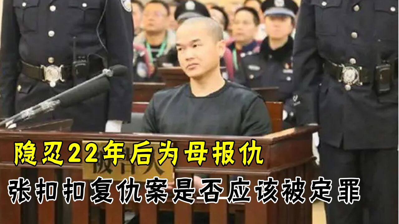 13岁目睹母亲被杀隐忍22年手刃仇人一家3口张扣扣有罪无罪 高清1080P在线观看平台 腾讯视频