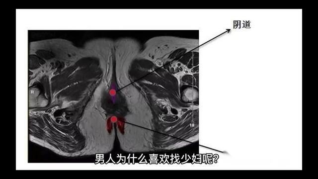 为什么男人都喜欢找少妇?#人这一生到底需要的是什么其实就两字钱和情 #每个人都在寻找走丢了的自己