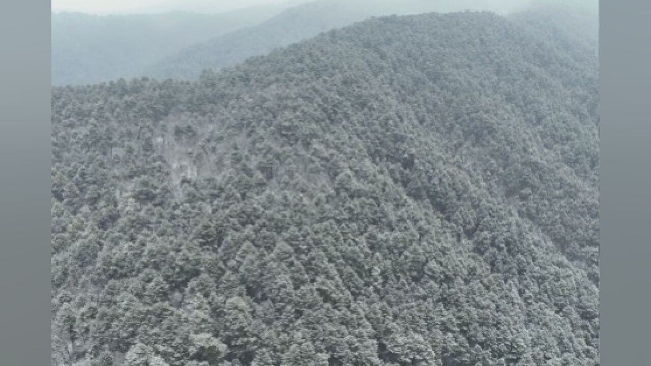 【飞越咸阳】咸阳旬邑:雪后马栏山,松雪相依耸峻岭