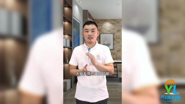 大脑发育的黄金时期是那个年龄阶段?