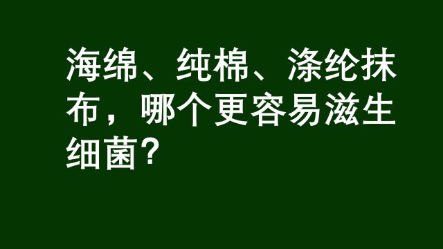 海绵、纯棉、涤纶抹布,哪个更容易滋生细菌呢?