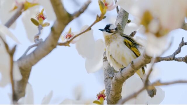 福海茶X茶业复兴 二十四节气主题茶会收官