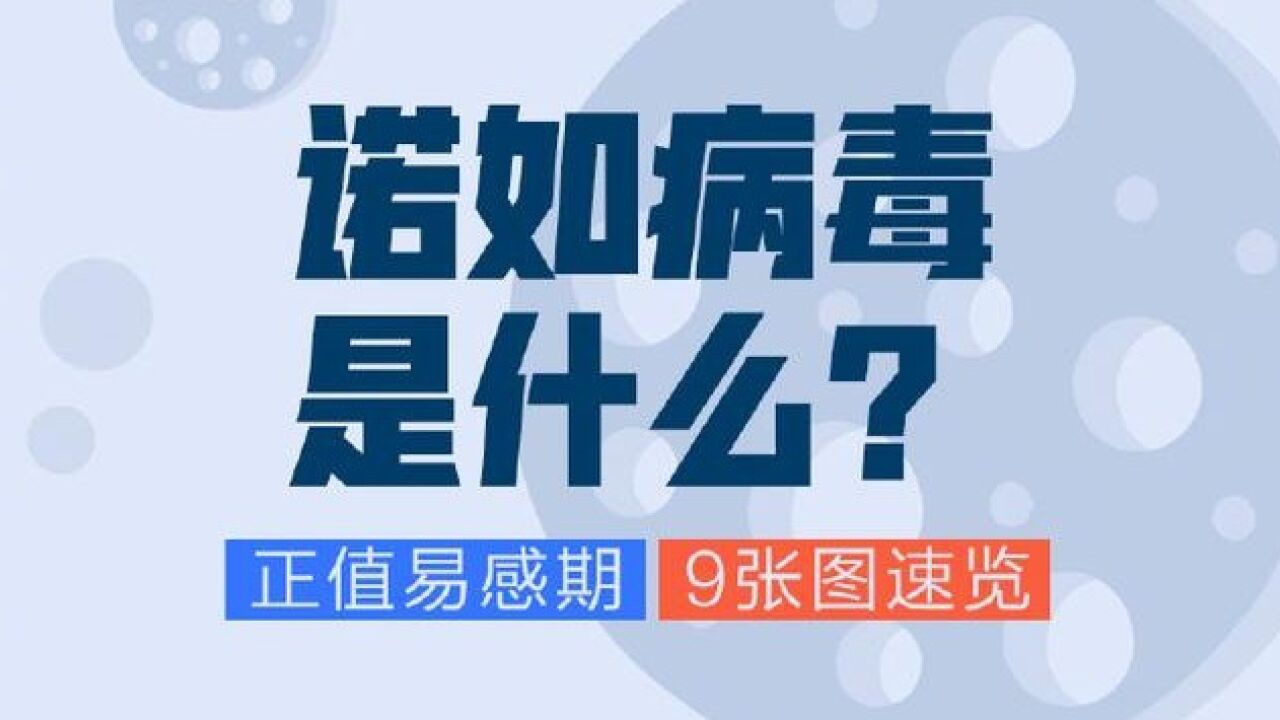 诺如病毒是什么?正值易感季,这些情况要注意