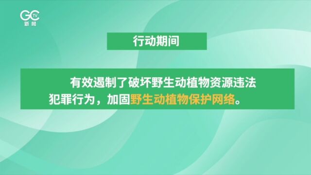 严打野生动植物非法贸易 “2023清风行动”取得显著成效