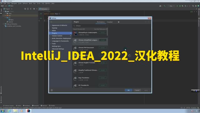 IntelliJIDEA2022汉化教程