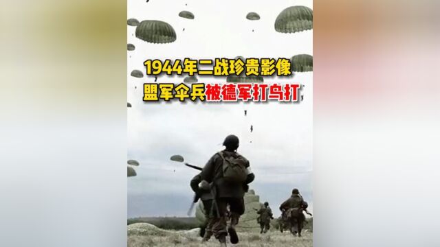 1944年二战盟军最惨烈的空降行动,3.5万伞兵被德军当鸟打,死伤超半