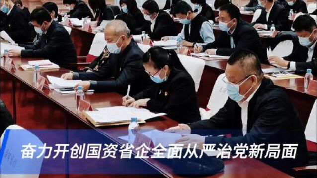 黑龙江国资省企掀起高质量发展新篇章