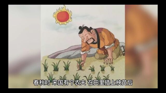 拔苗助长,急于求成