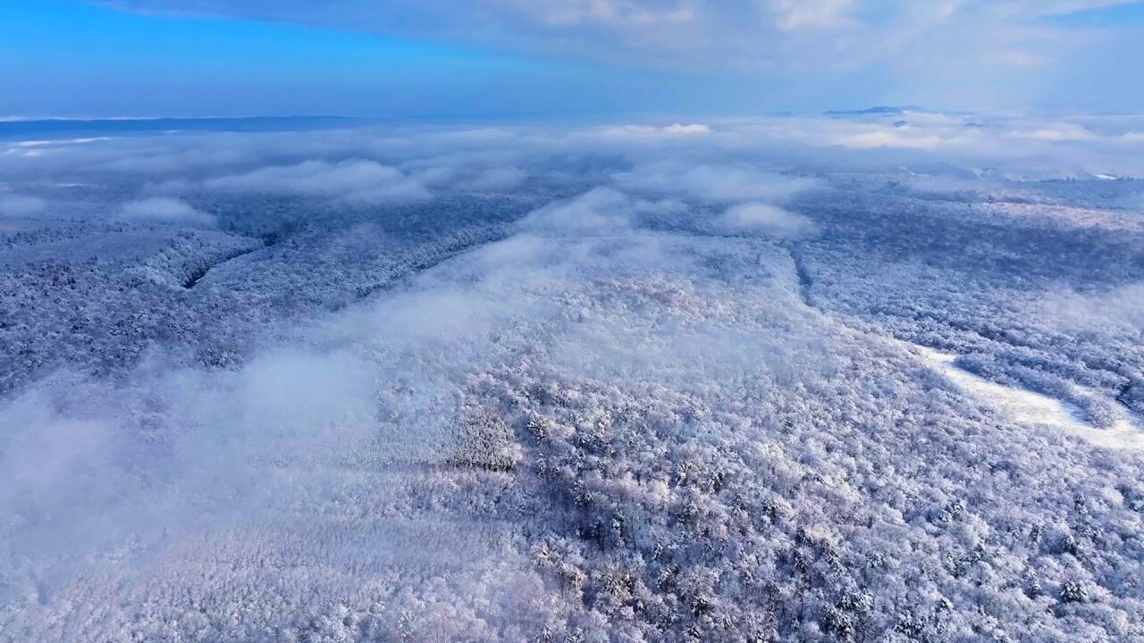 千城胜景|吉林抚松:流连忘返露水河