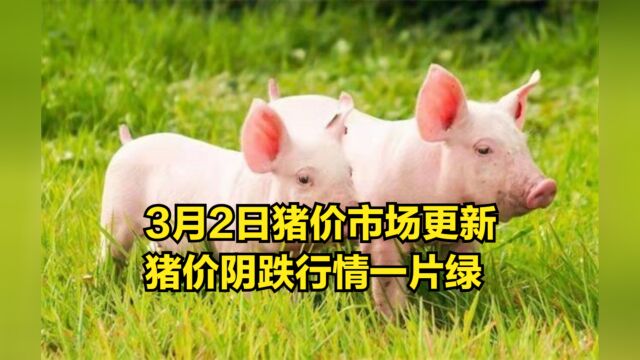 3月2日,猪市场更新,猪价阴跌行情“一片绿”!