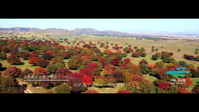 快来!带你“沉浸式”畅游兴安盟!