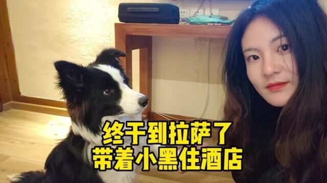 几千公里终于到拉萨,第一件事开个房间好好洗一次澡,太舒服了 #自驾游 #旅行 #穷游中国 #床车旅行 #张小白的旅行 #拉萨