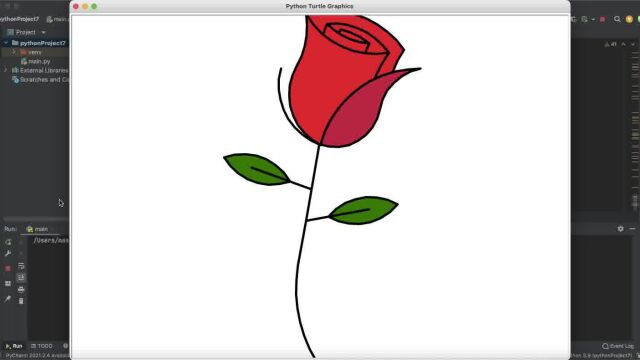 Python绘制一支玫瑰花代码