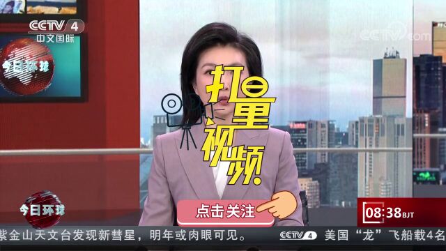 守护长江“微笑天使”!2022长江江豚科考成果发布