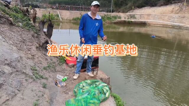 南宁江南区渔乐休闲垂钓基地,罗非鱼