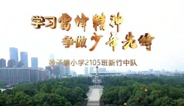 学习雷锋精神,争做少年先锋