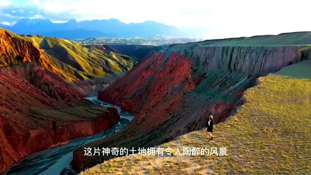 乌鲁木齐自驾如何选择合适的汽车托运公司