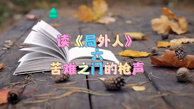 读《局外人》六:苦难之门的枪声! #读书 #文化 #文学