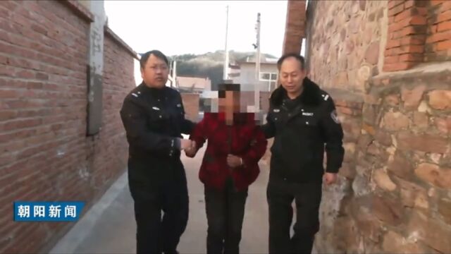 辽宁凌源发森林火情 警方:系人为引起 嫌疑人已采取刑事强制措施