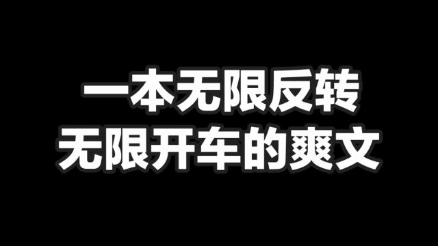 一本无限反转,无限开车的爽文