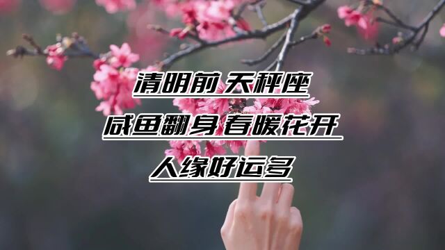 清明前,天秤座咸鱼翻身,春暖花开,人缘好运多,事业惊喜连连