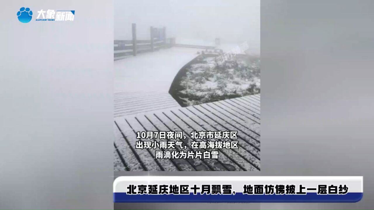 北京延庆地区十月飘雪,地面仿佛披上一层白纱