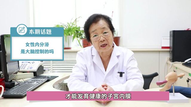 山东不孕不育医院哪家好 李萍:女性内分泌是大脑控制的吗