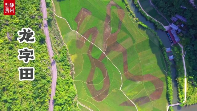 动静视频丨溶洞、峡谷、瀑布、峰林、暗河、溪流……安顺龙宫“一网打尽”喀斯特地貌景观