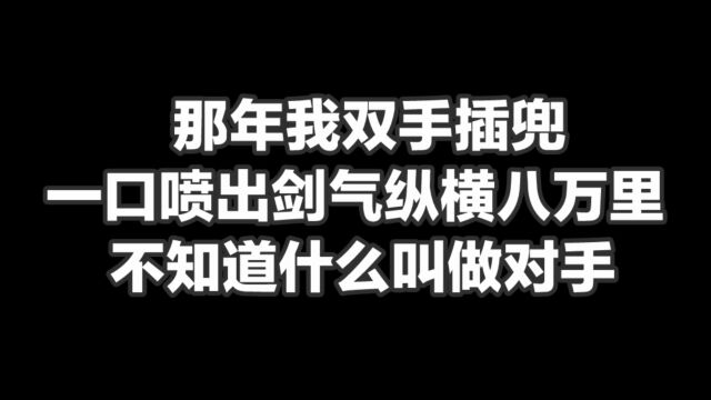 那年我双手插兜,一口喷出剑气纵横八万里,不知道什么叫作对手