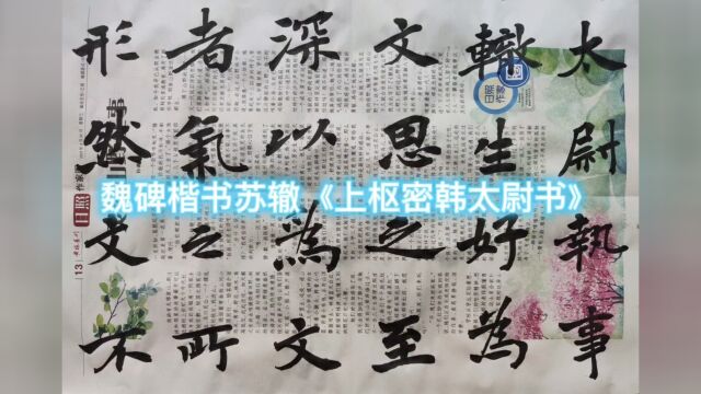 景堂习作之魏碑楷书抄写苏辙《上枢密韩太尉书》