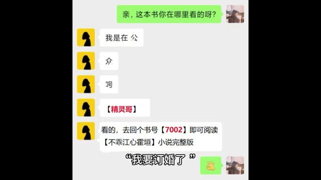 《不乖》江心霍垣不小说全文在线阅读