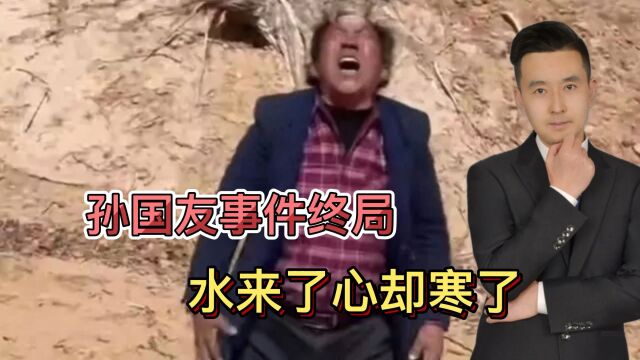 水来了,心却寒了!孙国友种的真是经济林?官方回应太打脸