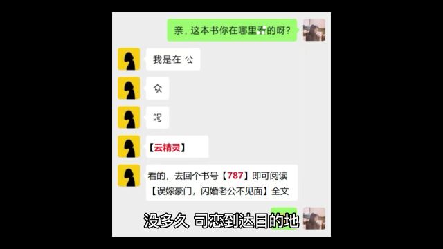 《误嫁豪门,闪婚老公不见面》司恋战南夜小说全文【完整版】