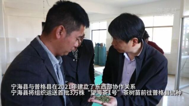 [南方生姜网-图片加载]