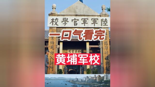 一口气看完1 #历史 #黄埔军校黄埔军校