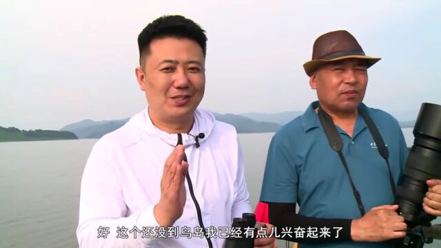 “丹顶鹤”评奖 吉林市广播电视台亮出优秀成绩单