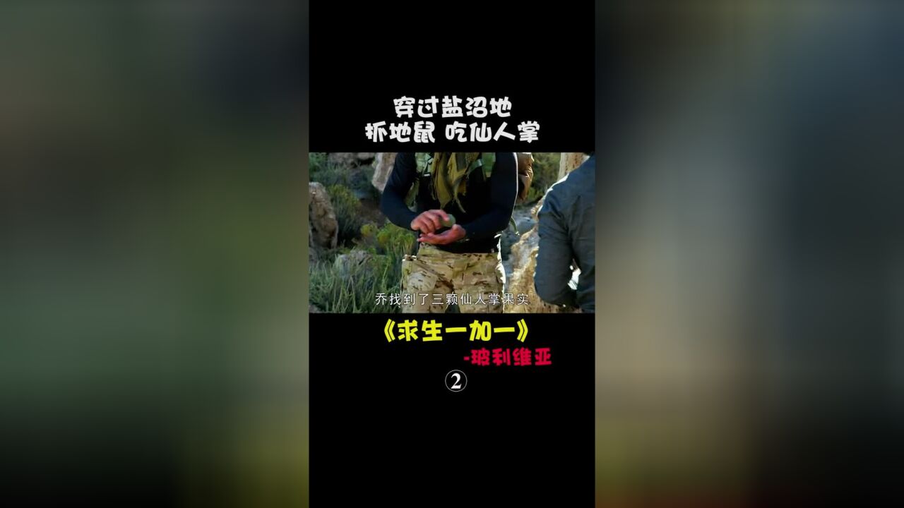 求生一加一:满山都是仙人掌,找到水#荒野求生#我的观影报告