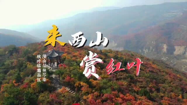 来西山 赏红叶 “层林尽染 锦绣西山”